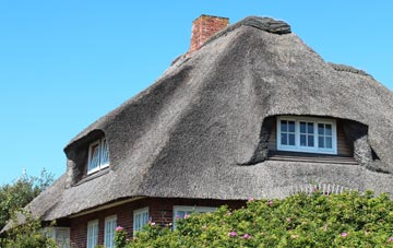 thatch roofing St Aethans, Moray